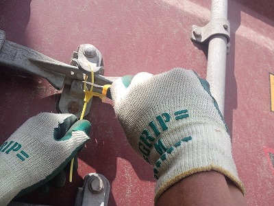 �����؂�