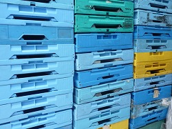 PP�R���e�i(�I���R��)