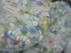 PP�L���b�v